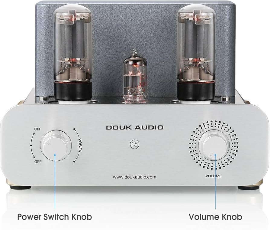 Amazon.com: Douk Audio F5 Pure Class A HiFi Vacuum Tube Amplifier